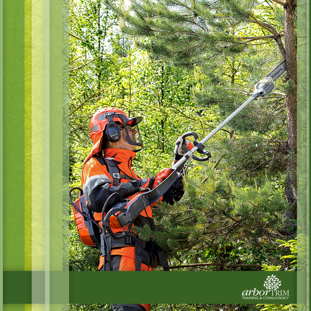 Arboriculture Courses in Melbourne Arbortrim Training