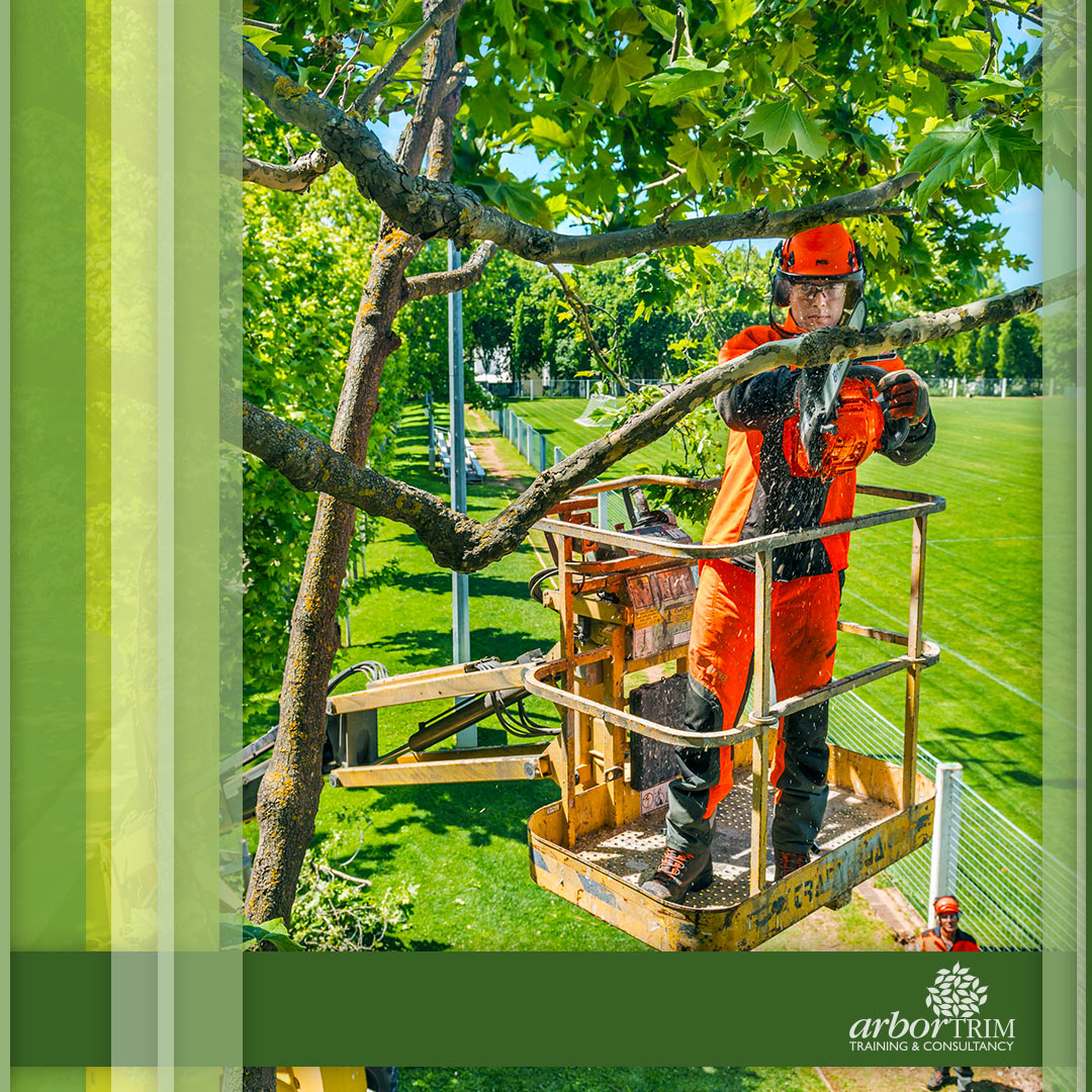 Arboriculture Courses in Melbourne Arbortrim Training