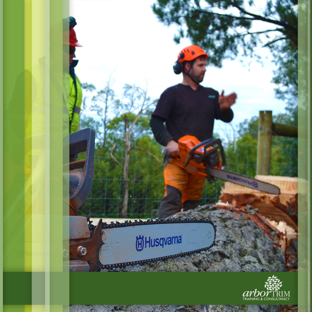 Arboriculture Courses in Melbourne Arbortrim Training